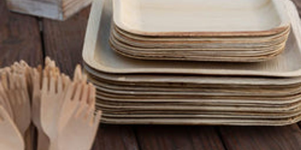 Eco-Friendly Dining: The Benefits of Using Bamboo Plates - arbhustore