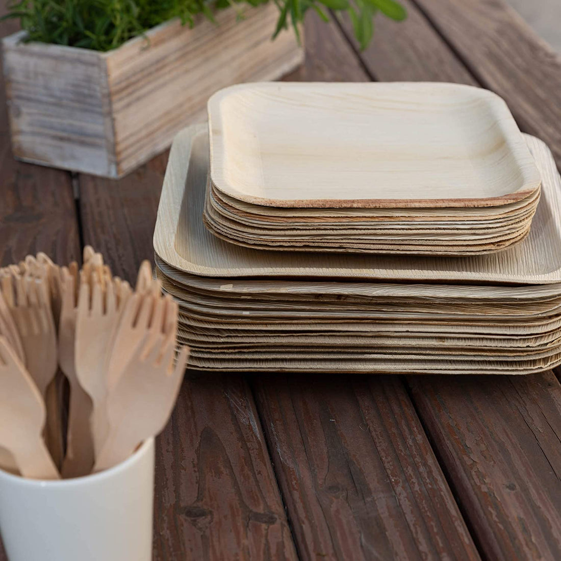 The exciting future of Biodegradable Dinnerware - arbhustore